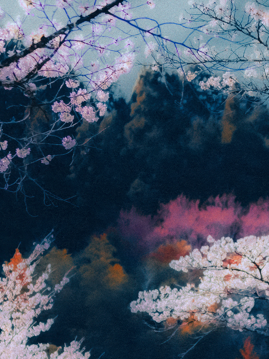 Paul Cupido, Sakura, 2023