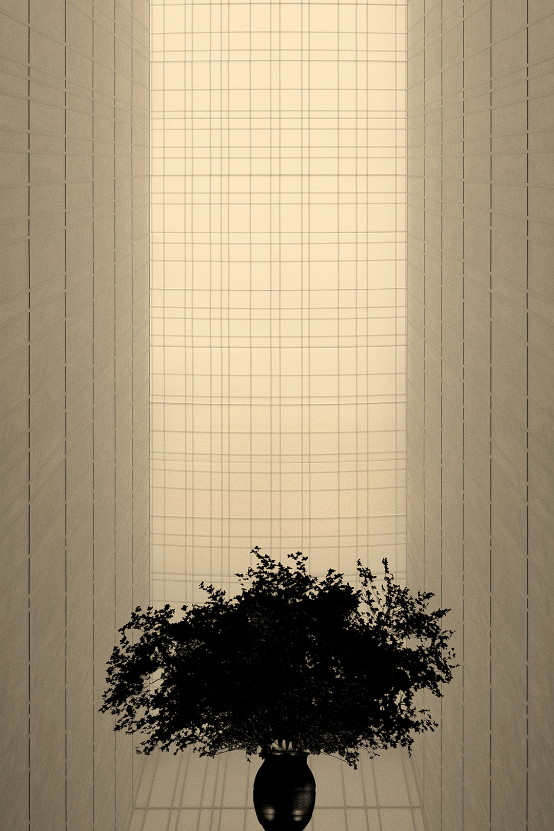 Paul Cupido, Atrium, 2025