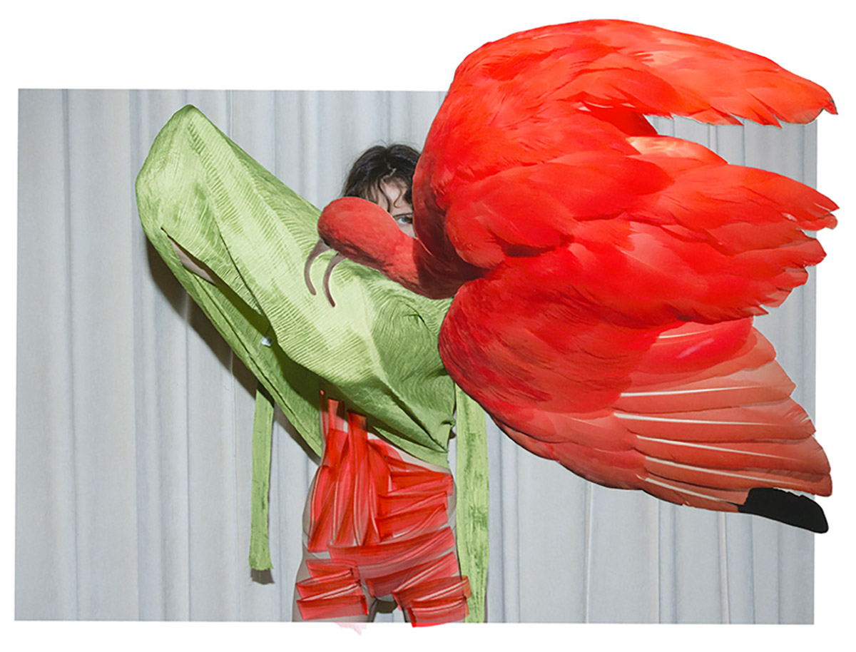 Viviane Sassen and Stevenson, Eudocimus Ruber from the series Of Mud and Lotus, 2017, Johannesburg / Cape Town / Amsterdam