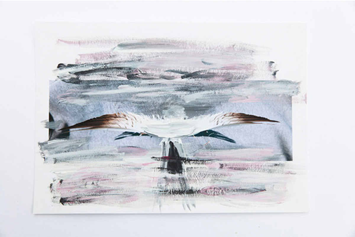 Birgit Matschullat, Other Photographic Matters