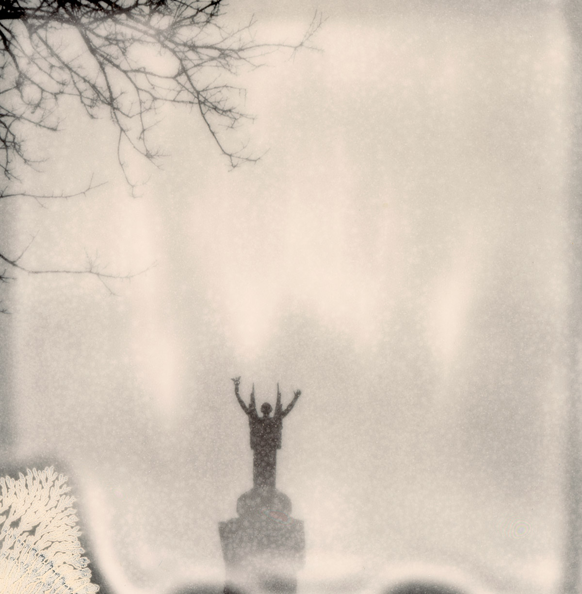Wilfried de Jong, Polaroidman