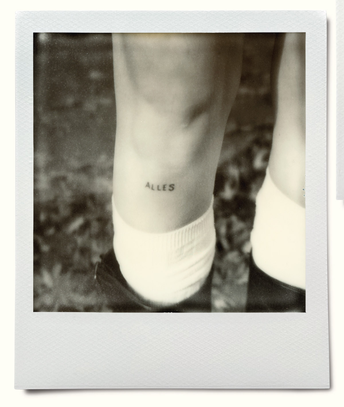 Wilfried de Jong, Polaroidman