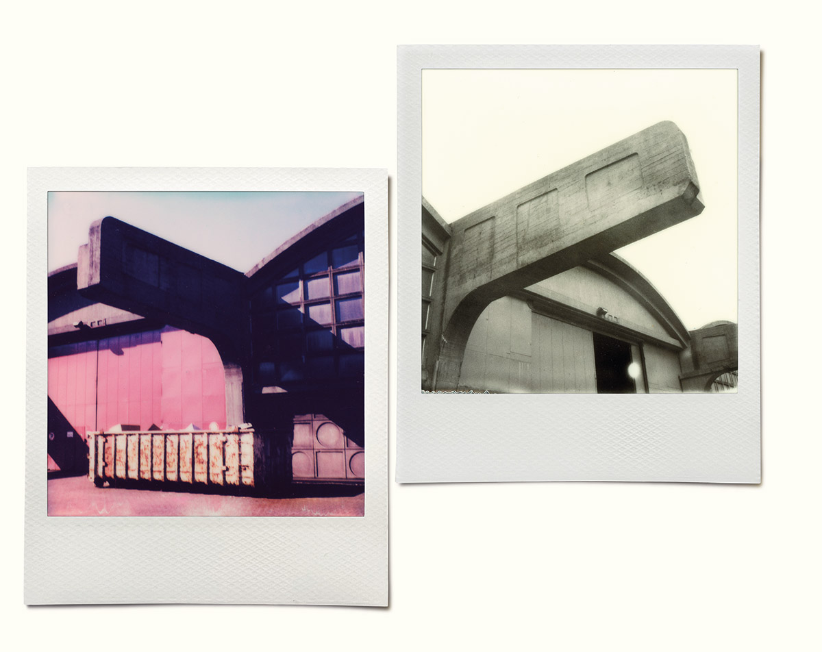 Wilfried de Jong, Polaroidman