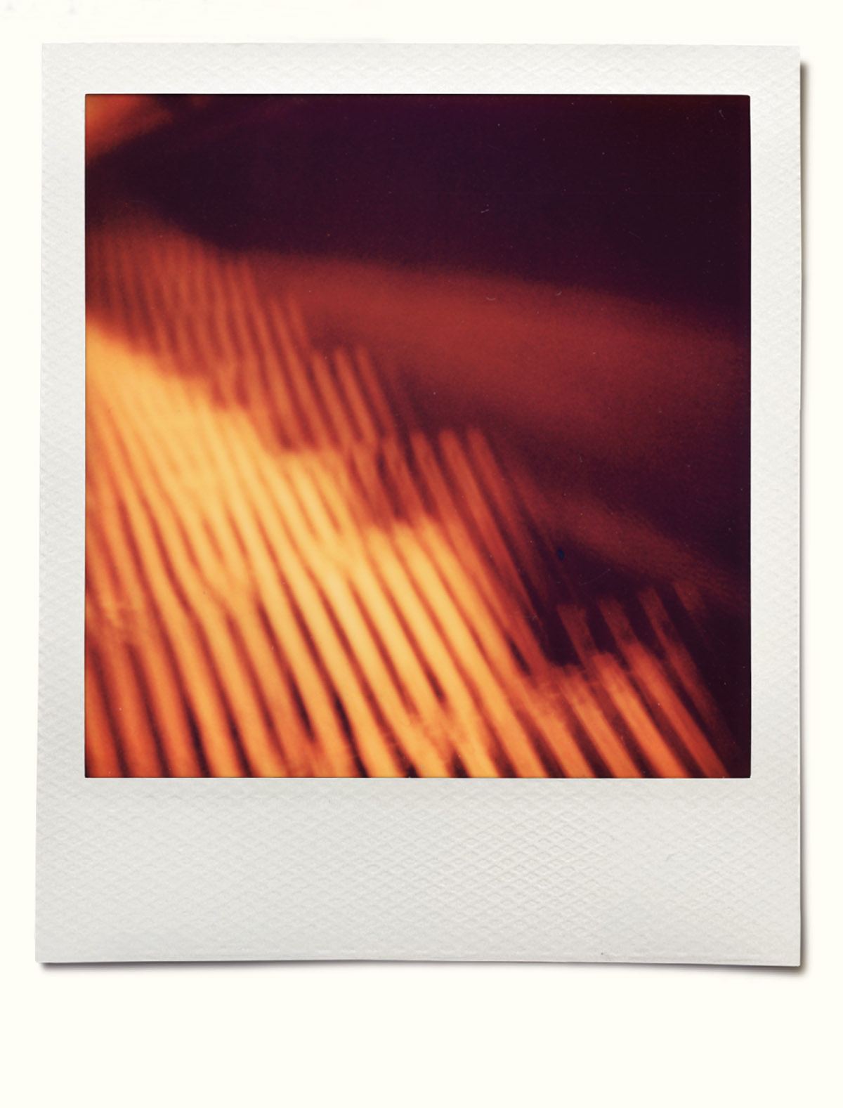 Wilfried de Jong, Polaroidman