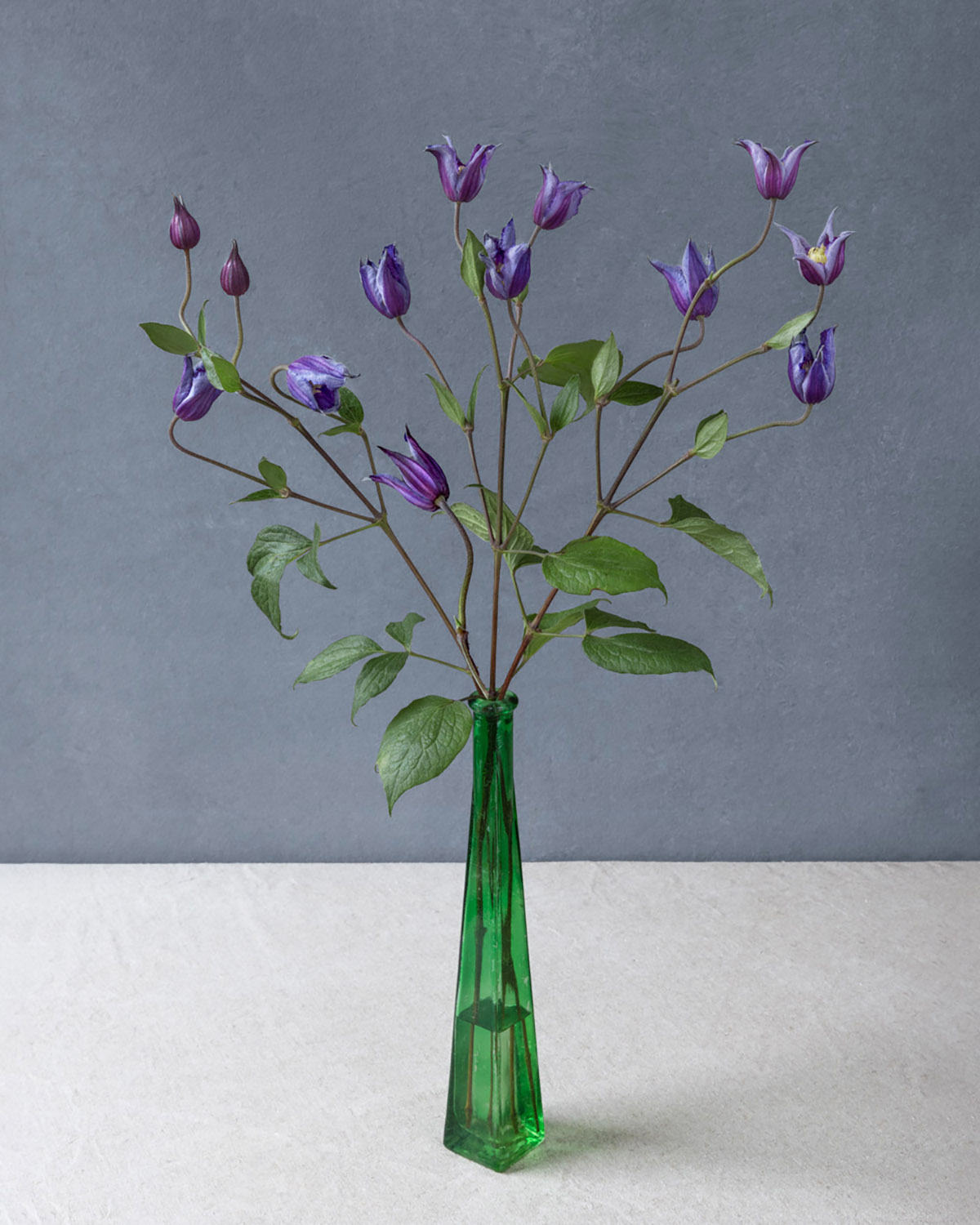 Puck Soetens, Clematis in a green vase