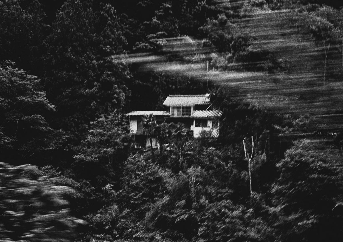 Margaret Lansink, The Kindness of One