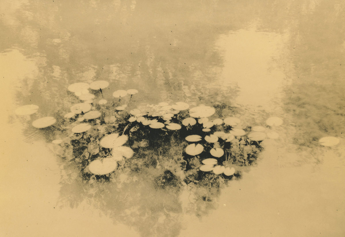 Andrei Farcasanu, Timeless Interventions en The quiet sense of nature