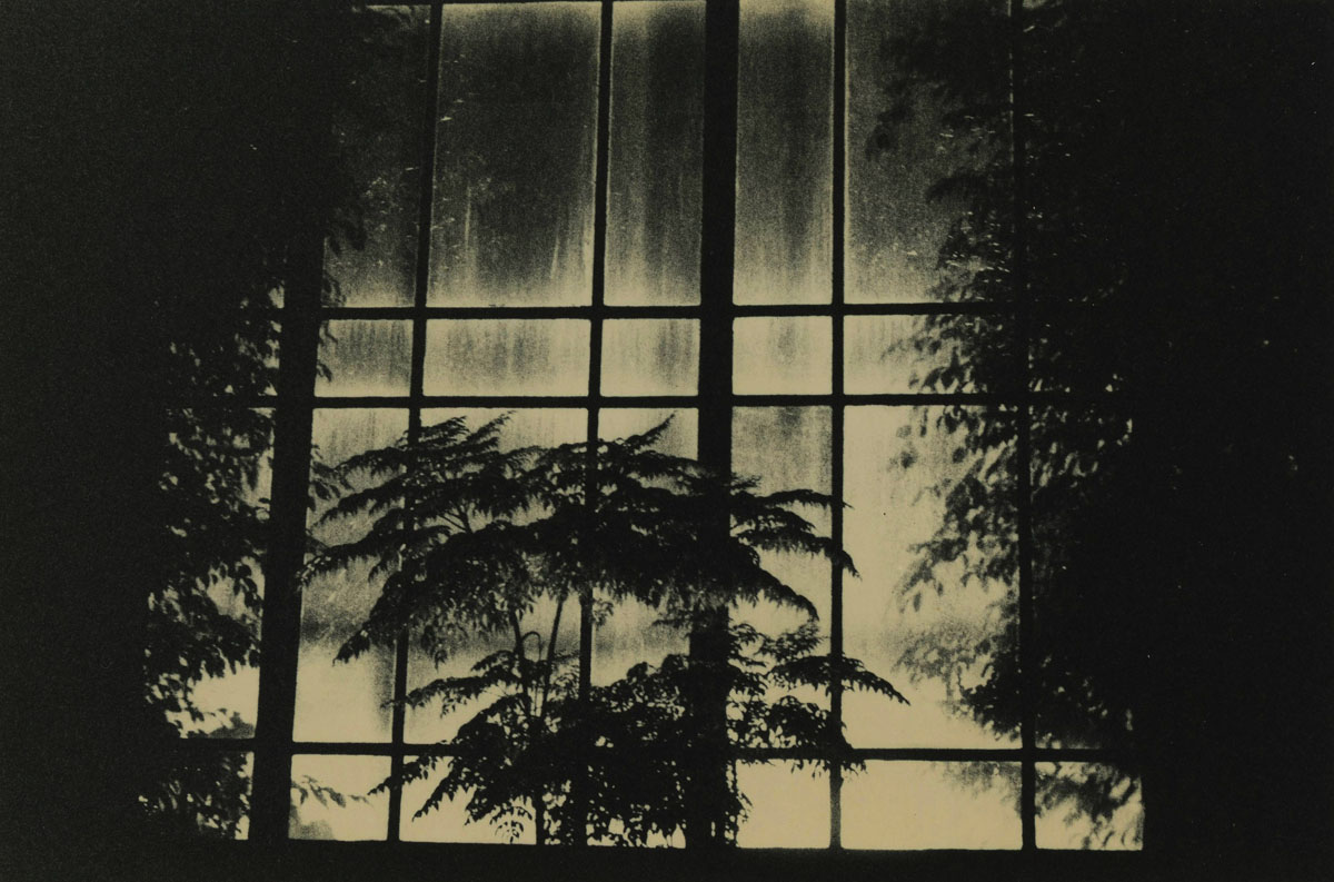 Andrei Farcasanu, Timeless Interventions en The quiet sense of nature