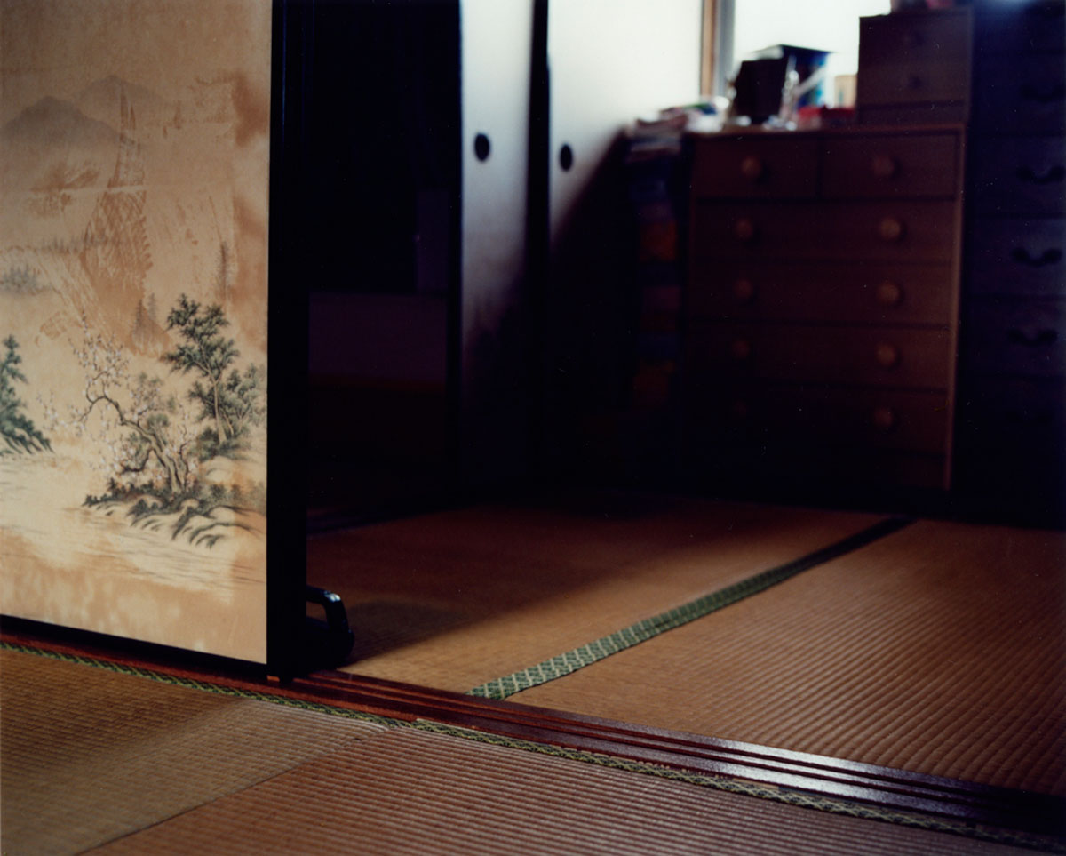 Emily Bates, The sky is glowing with the setting sun, 2010-2012