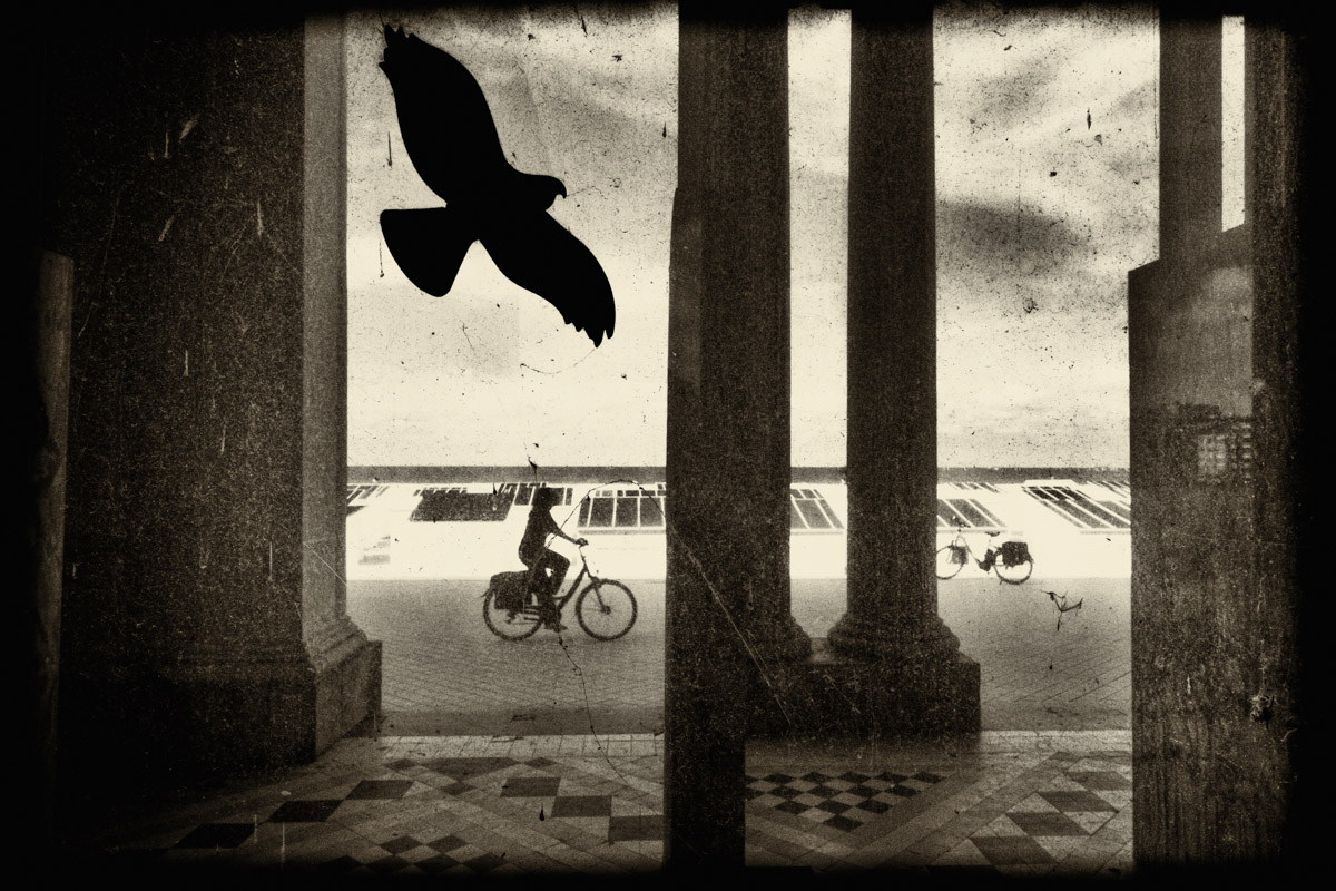 Eddy Verloes, Yellowed dream