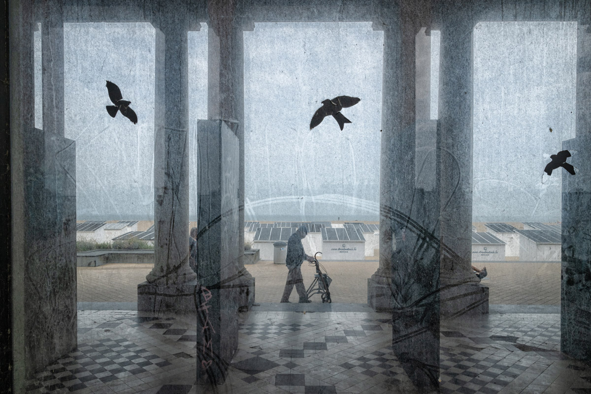 Eddy Verloes, nobody sees a fish cry