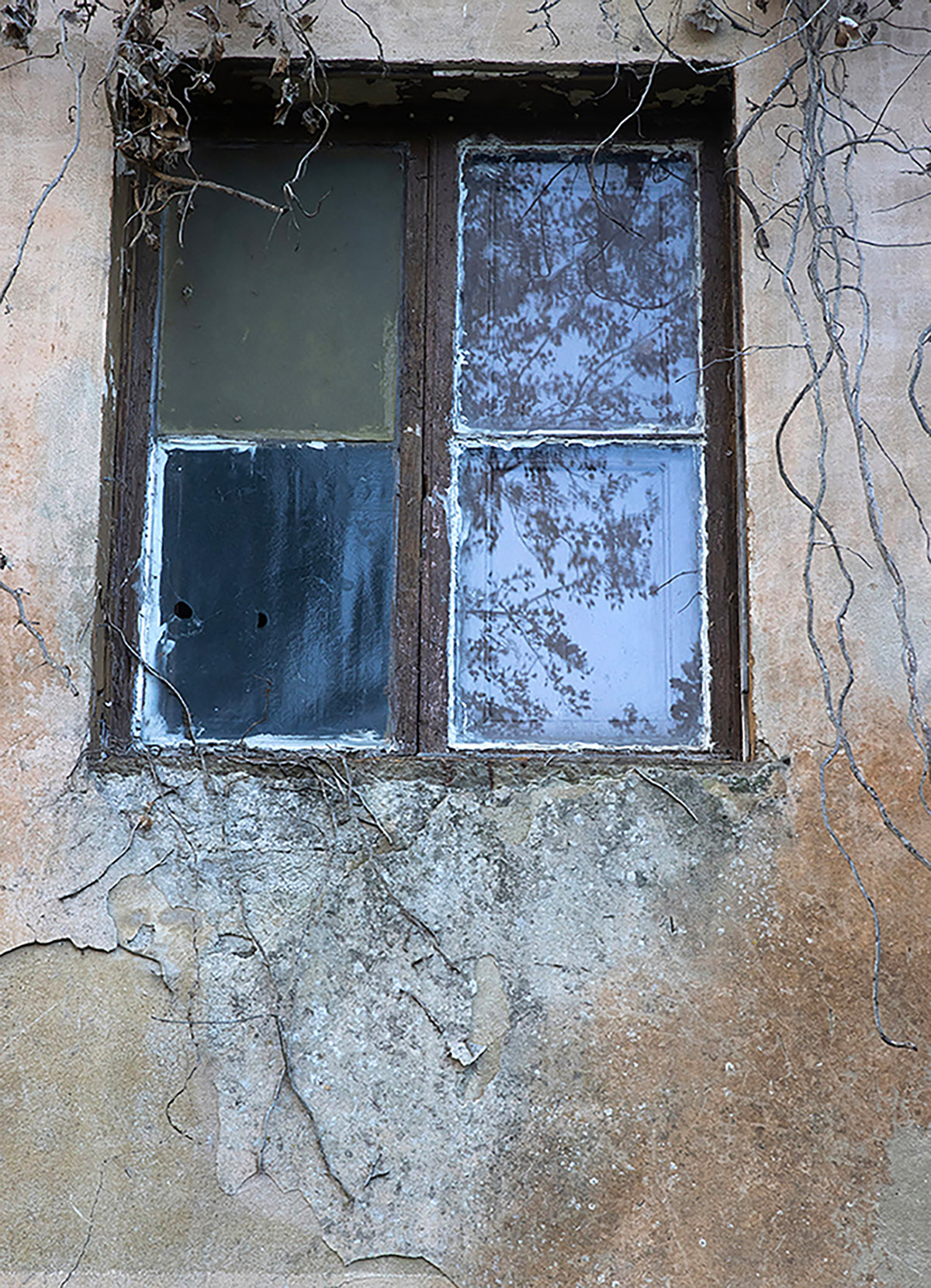 Sabine Heetebrij, Memorial