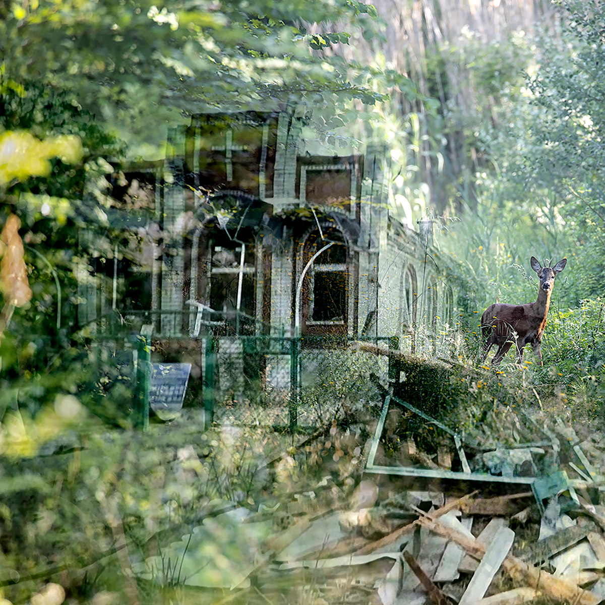 Sabine Heetebrij, Oh Dear