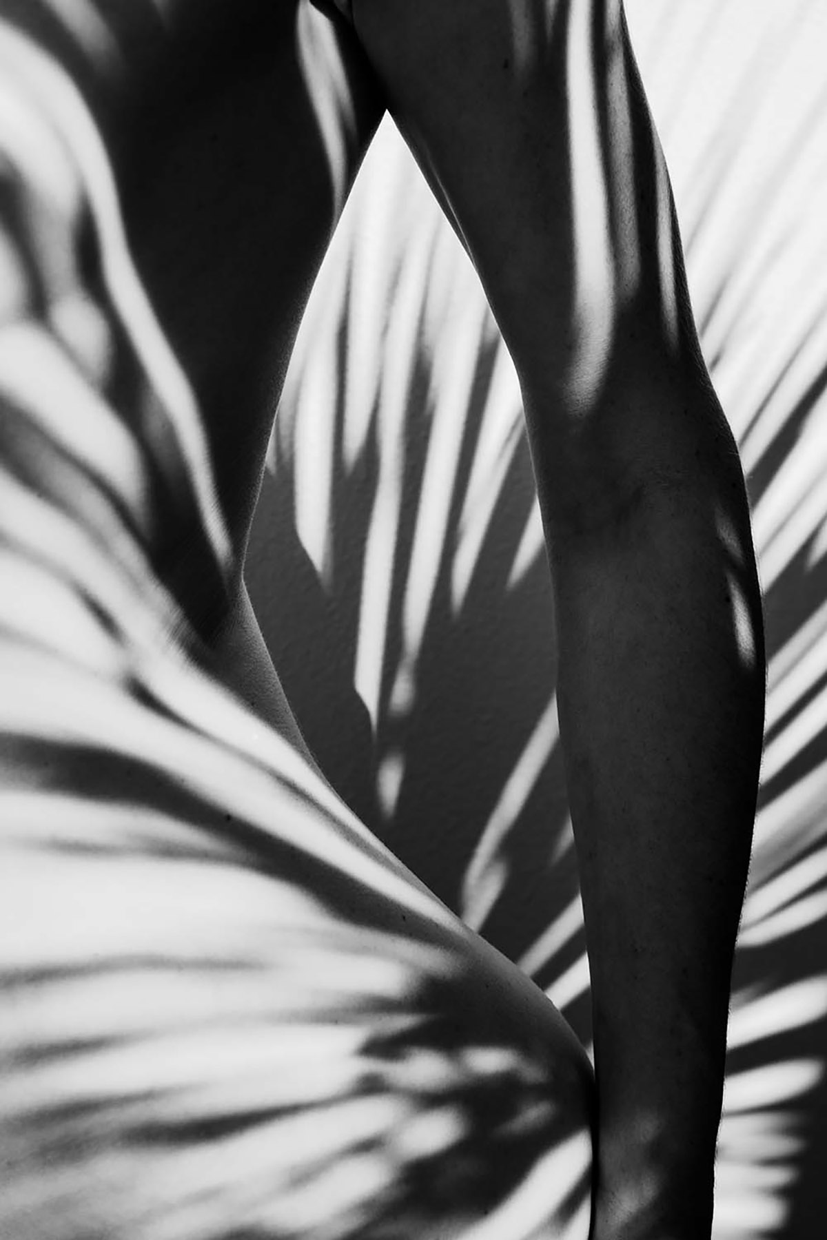 Annelies Damen, Revealed