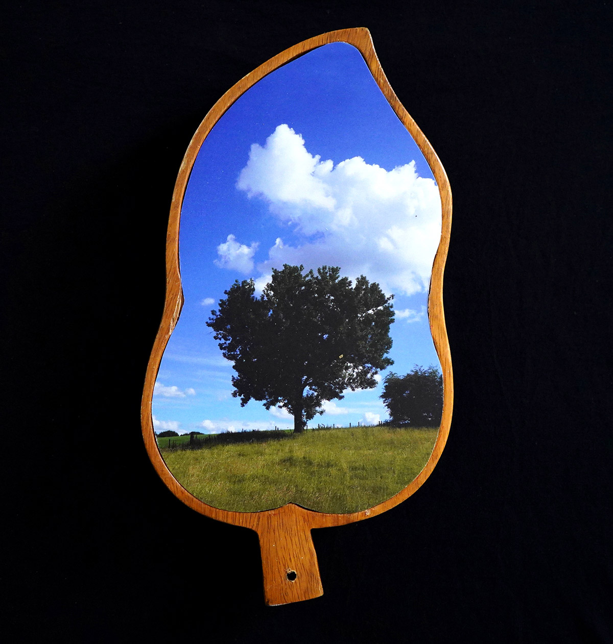 Rob Chevallier, De stikstofboom, Sibbe-IJzeren, foto (forex) op hout