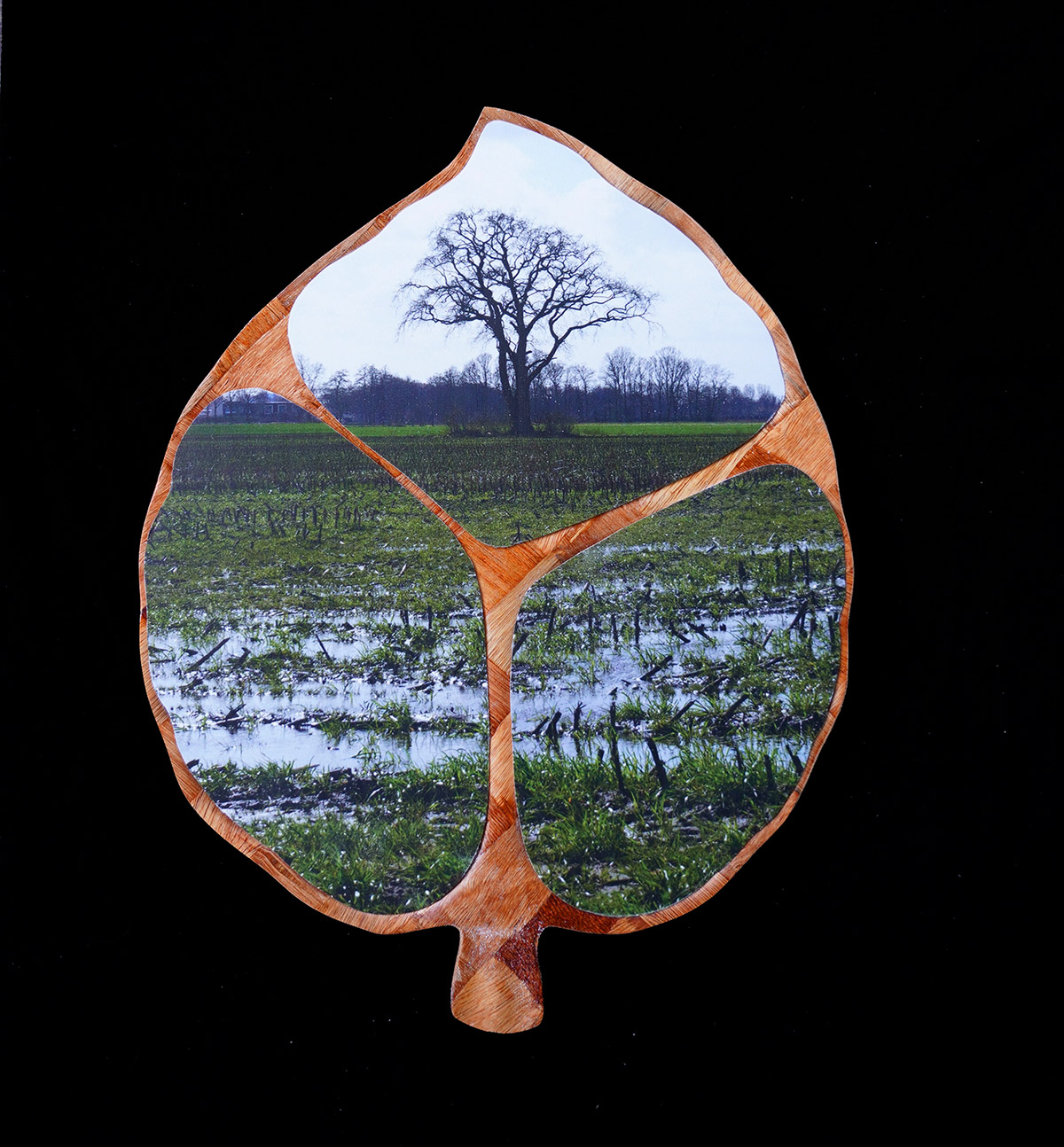 Rob Chevallier, Nederland (bedreigd) waterland, Overijssel, Almelo, foto (forex) op hout