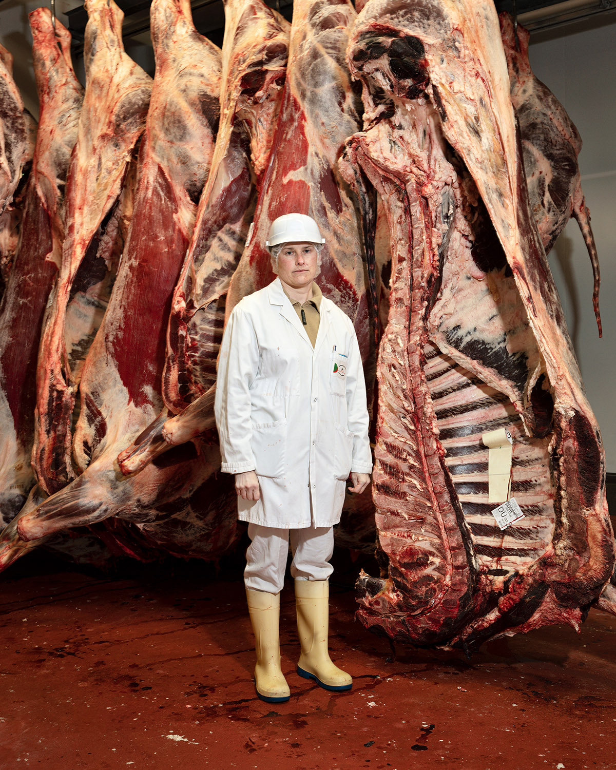 Rob Hornstra, Saint-Jean-Pied-de-Port, 2022