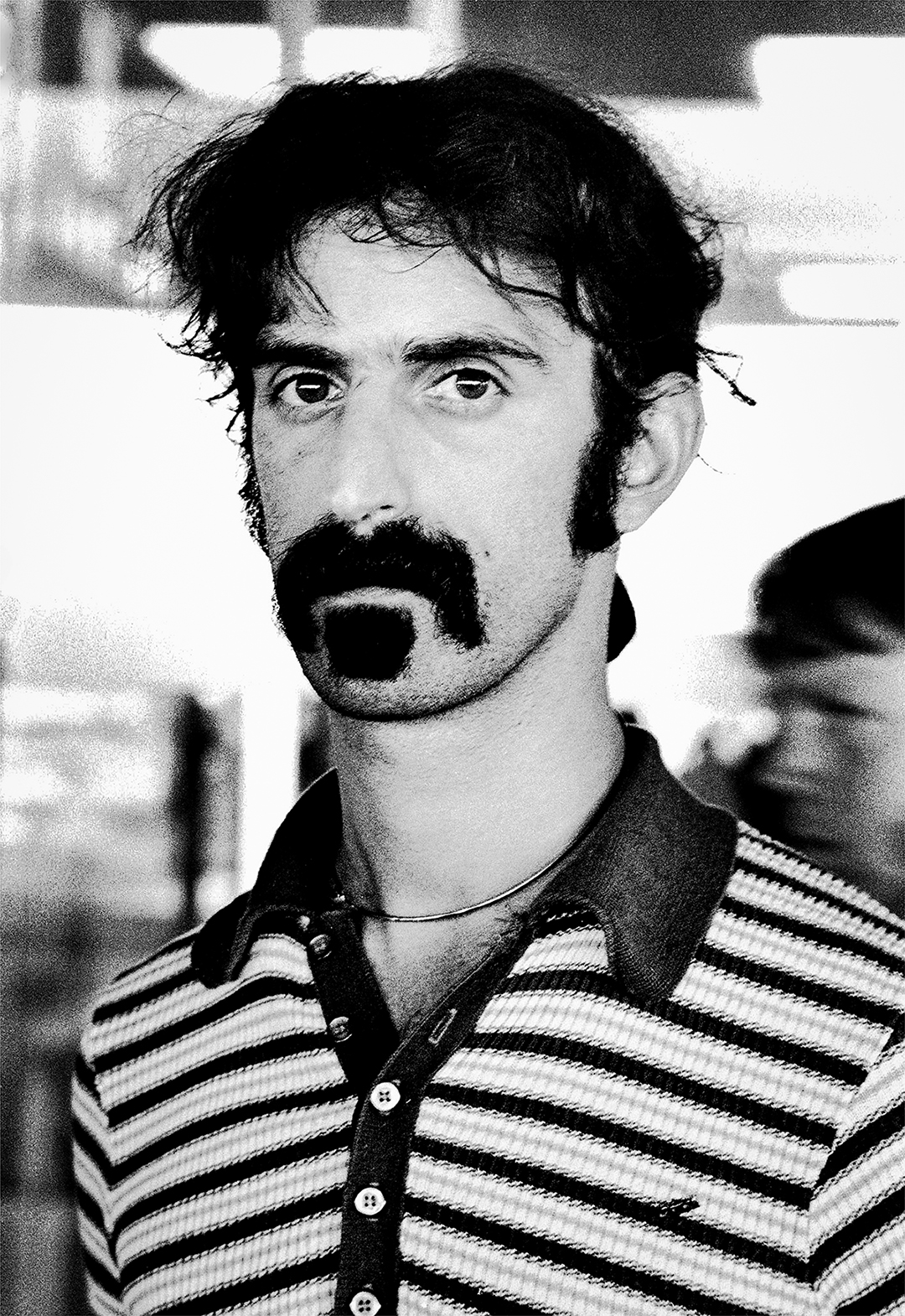 Gijsbert Hanekroot, Frank Zappa