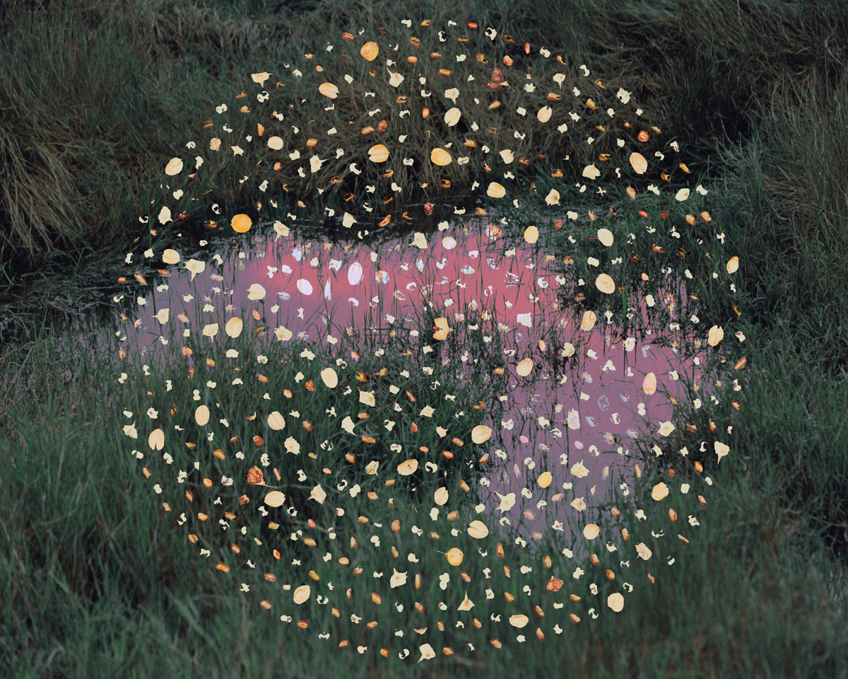 Yixi Tian, Veiled by Cloud and Mist