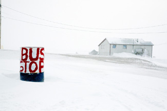 Sacha de Boer, Beeldagent