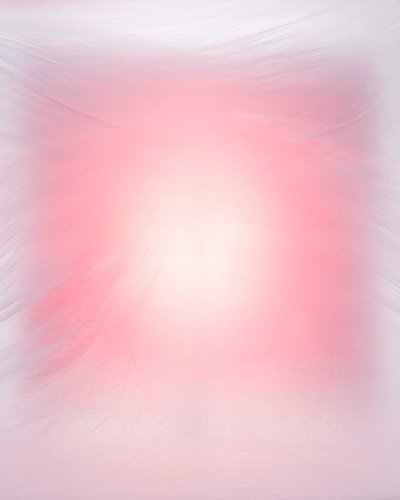 Sjoerd Knibbeler , Current study #1, 2013