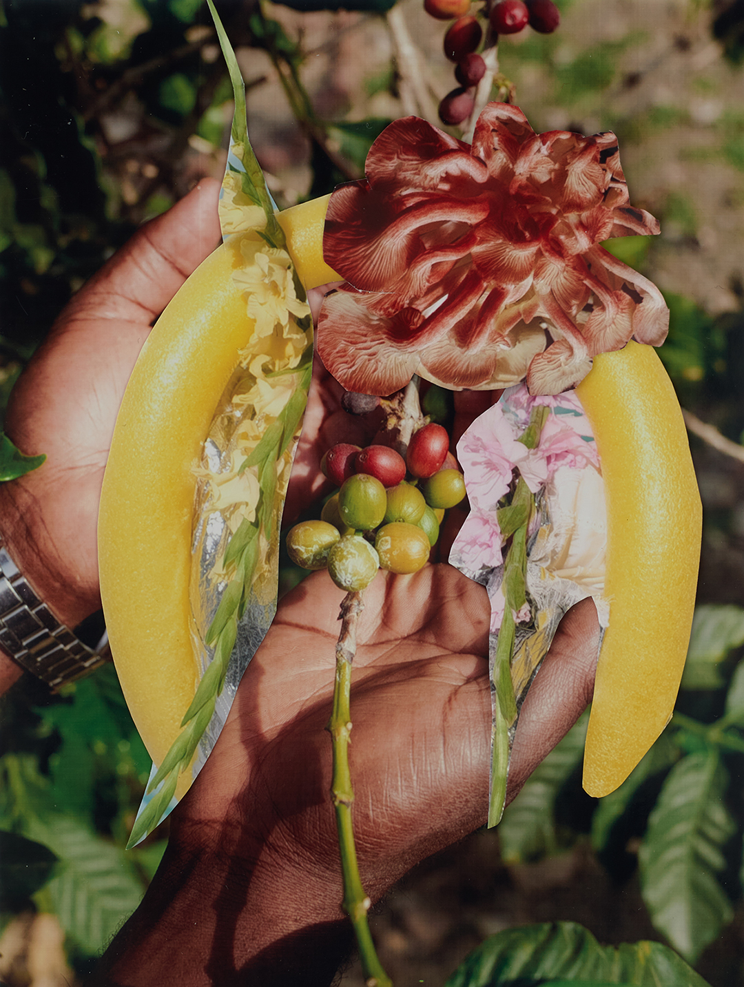 Viviane Sassen, The gift, 2022