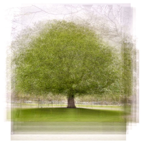 Stamhuis de Slibvijzel