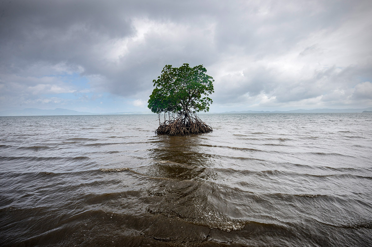 Kadir van Lohuizen, Fiji