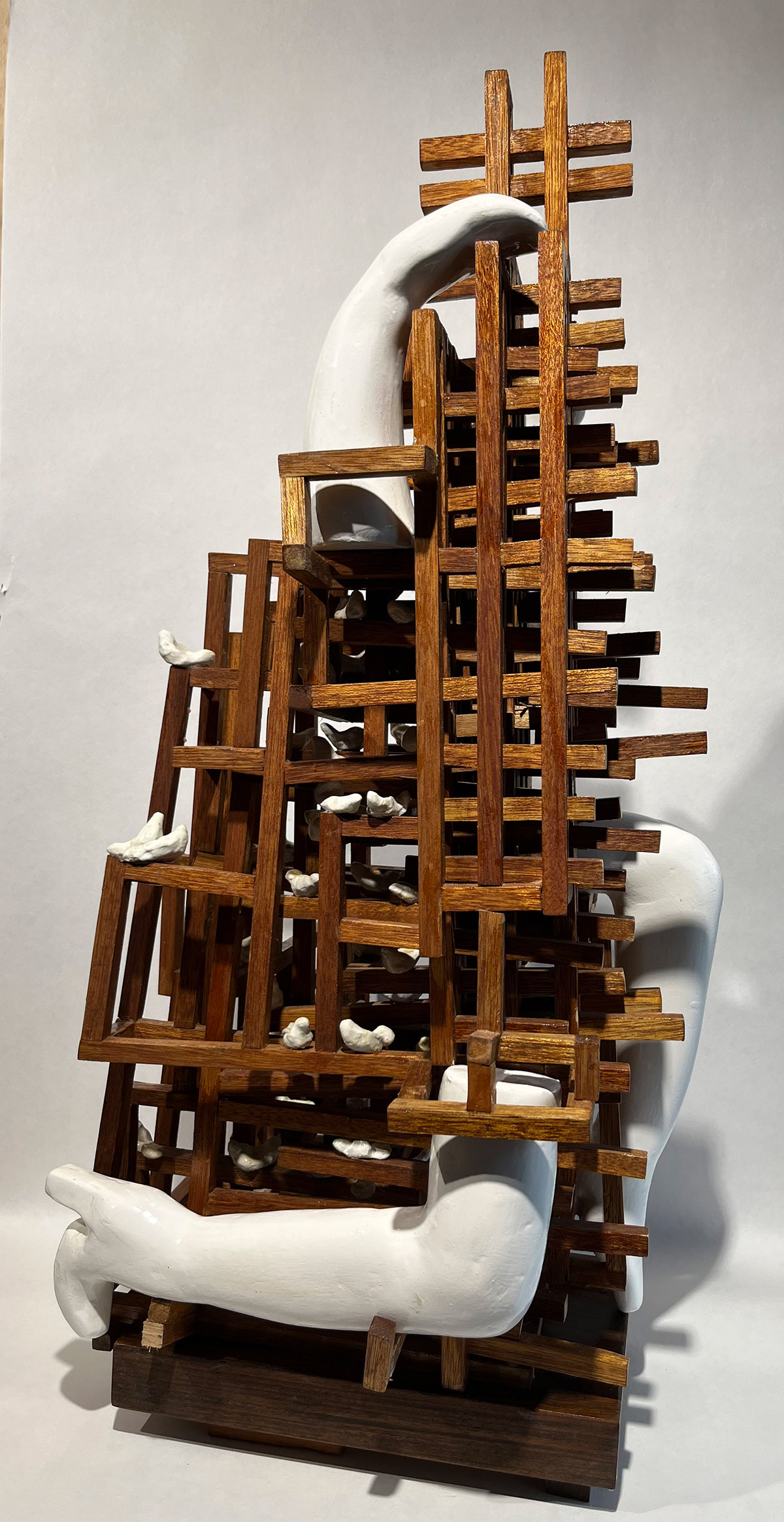 Edson Bruno Filho, vertrouwen/trust