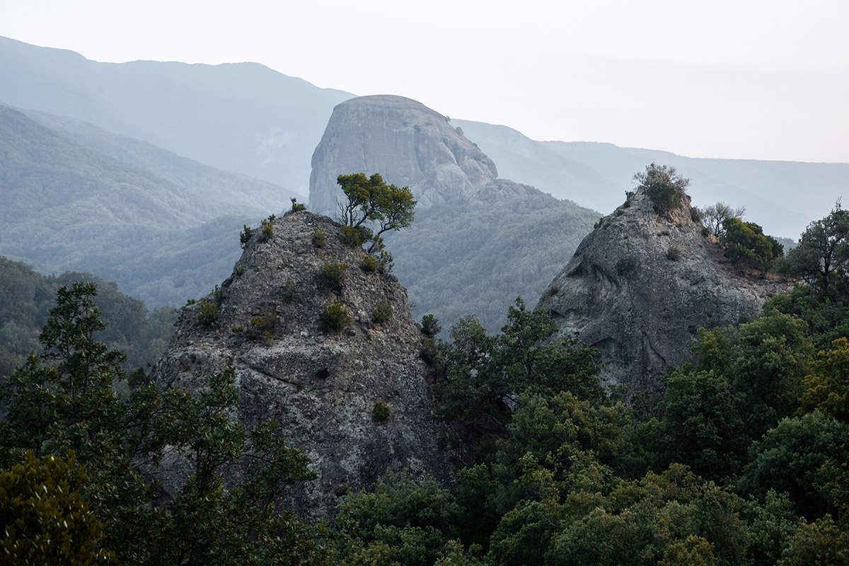 Steffi Reimers, Aspromonte Guilty Grounds, 2023