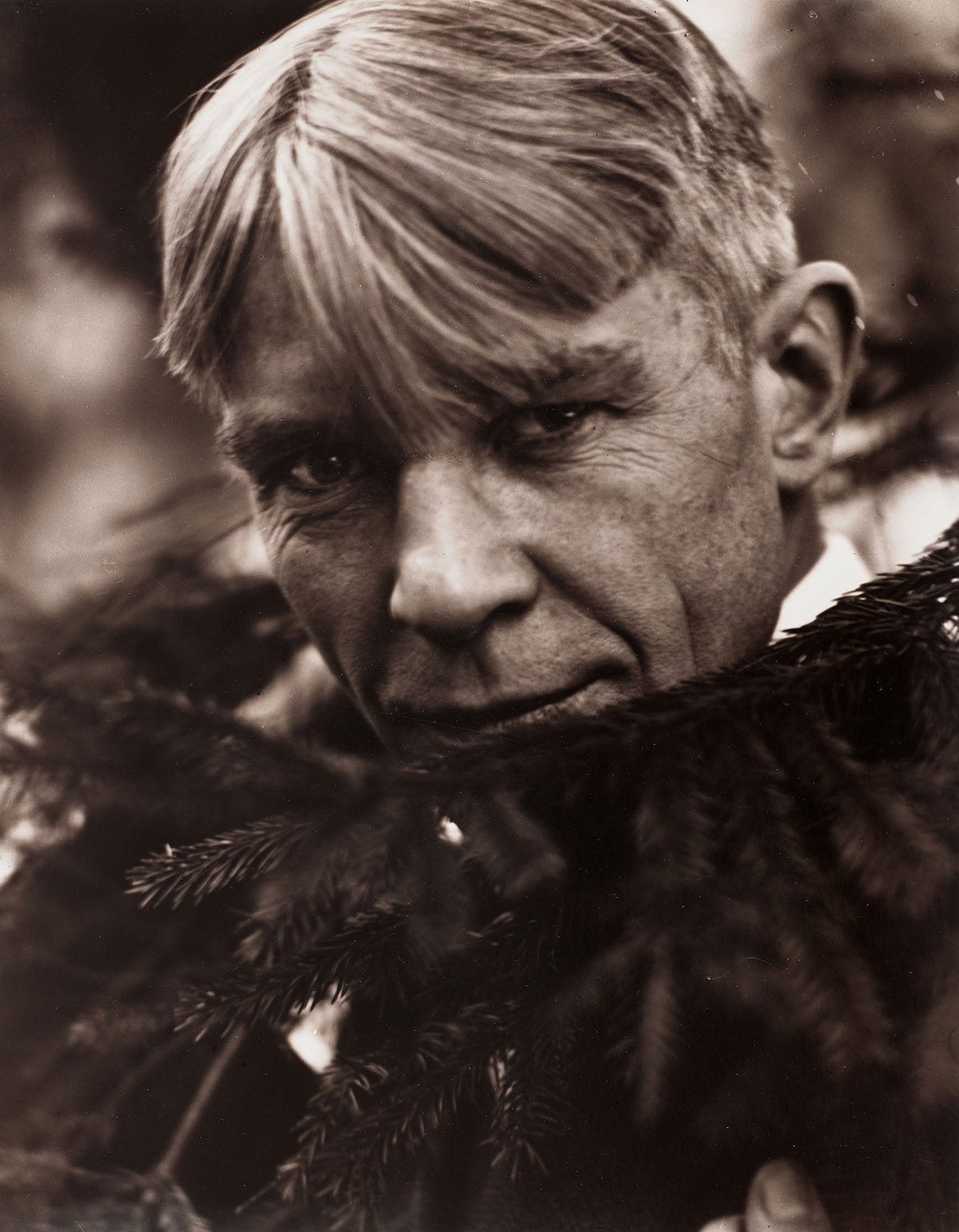 Edward Steichen, Carl Sandburg, 1923, printed after 1953, Gelatin silver print (toned), Coll. MNHA