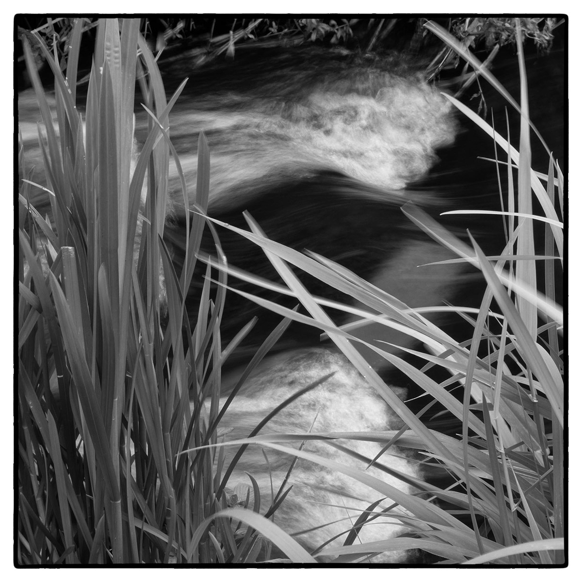 Ton van Vroonhoven, Stille Kracht