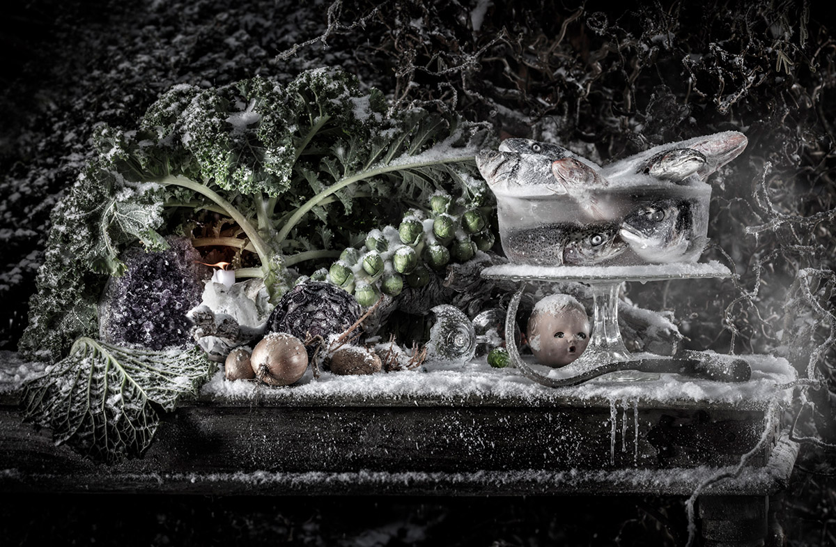 Stills (portfolio Kaj ter Borgh)