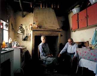 Domestic Landscapes