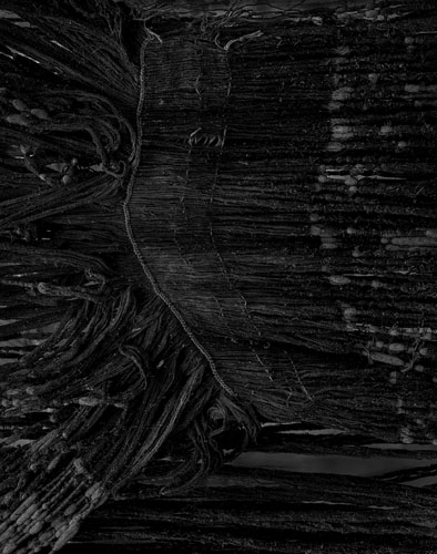 Roosmarijn Pallandt, Tracing Threads