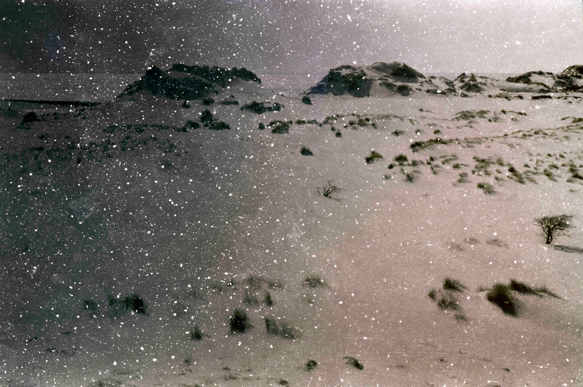 Nicole Hagesteijn, Magic Landscape