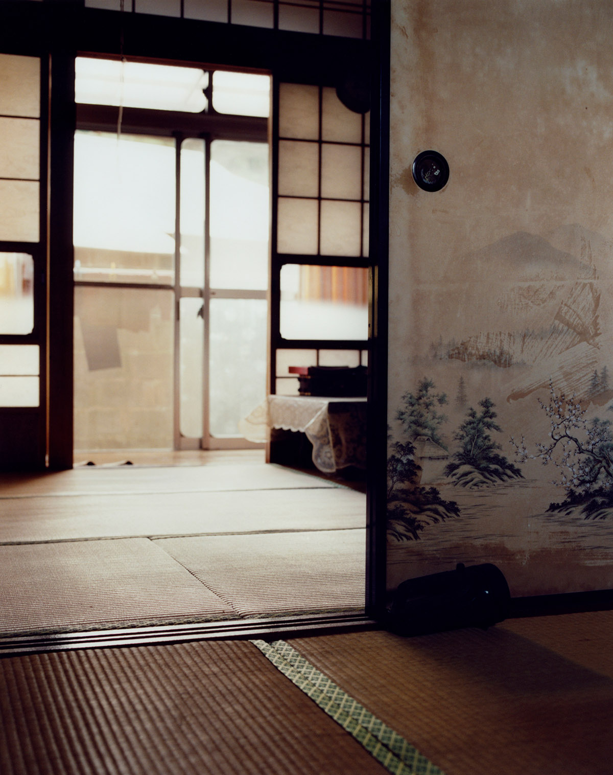 Emily Bates, The sky is glowing with the setting sun