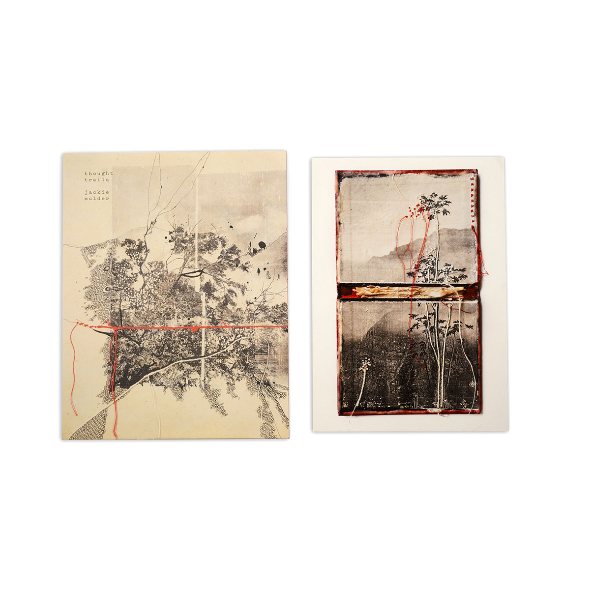 Jackie Mulder, kunstboek en special edition fine art print, Thought Trails #275