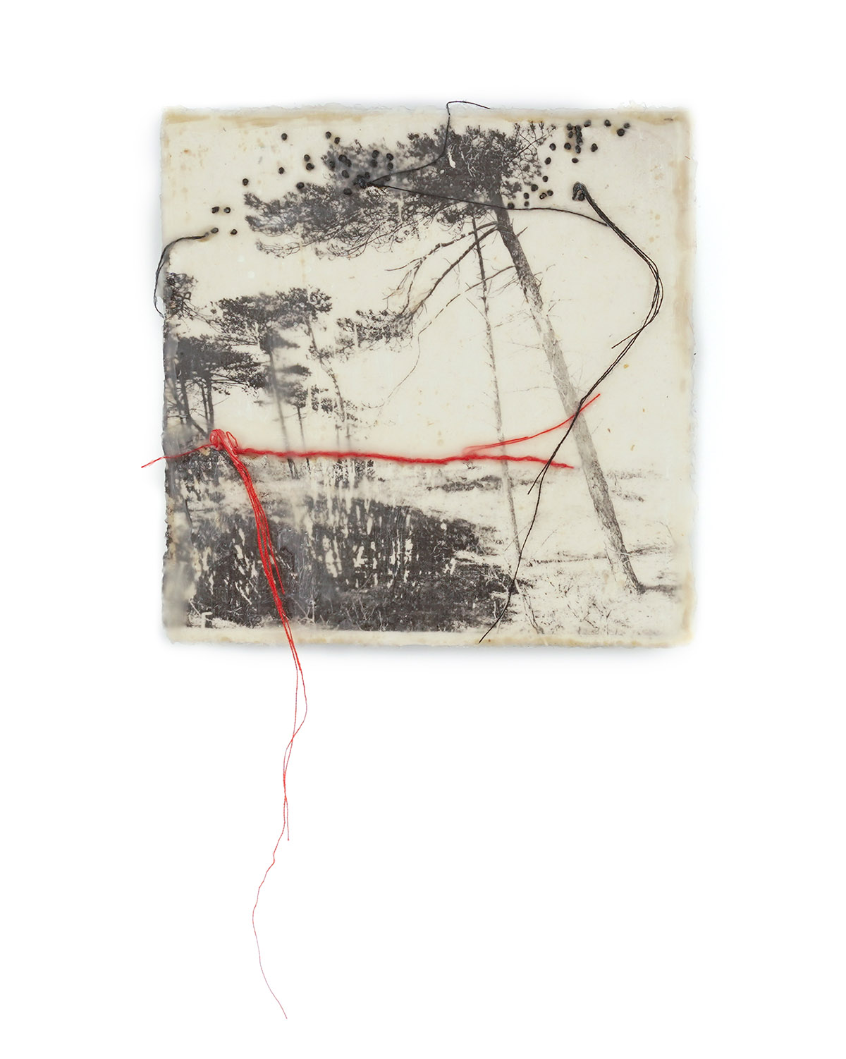 Jackie Mulder, unique artwork edition, kunstwerk Thought Trails #443