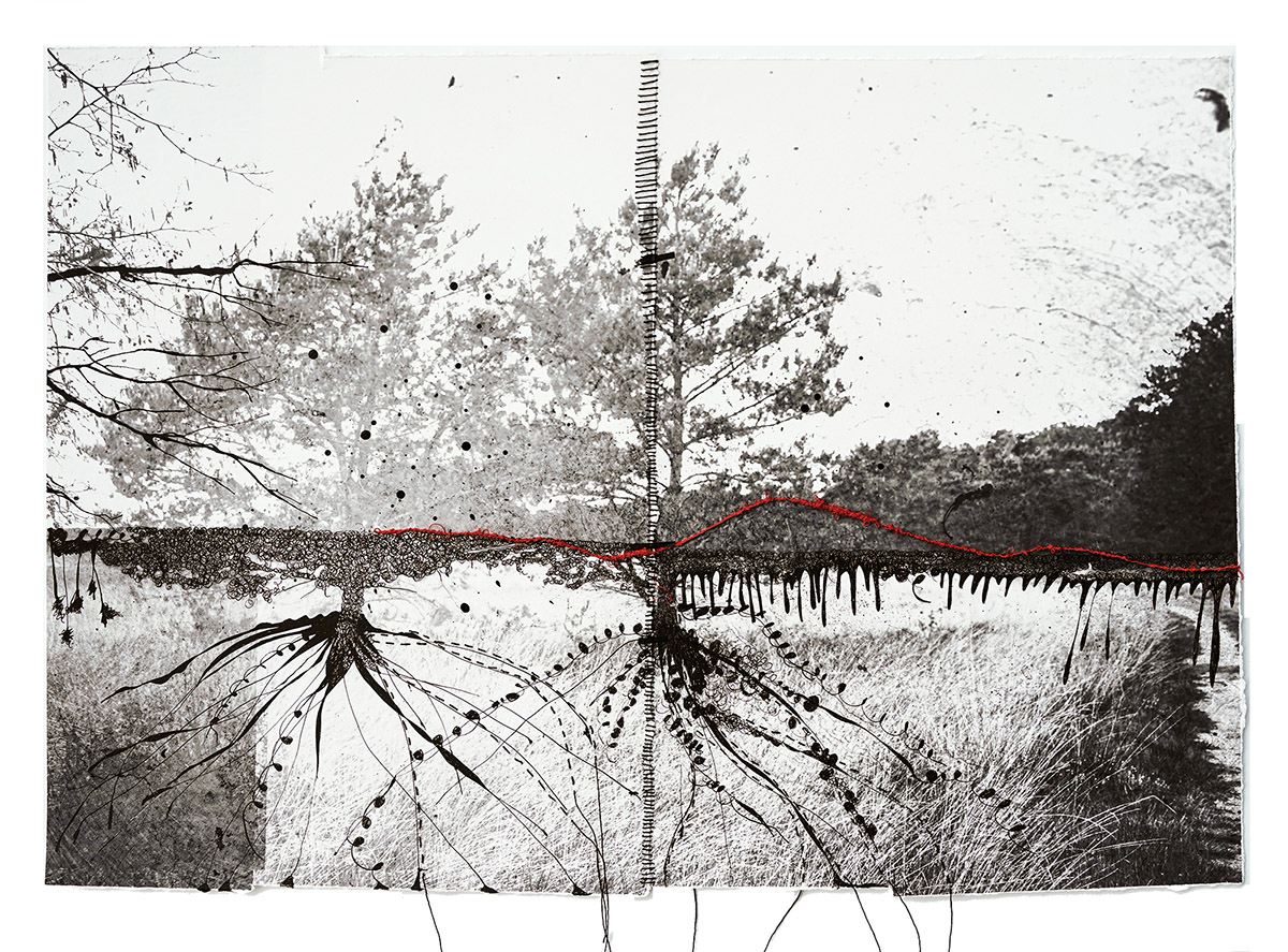 Jackie Mulder, Thought Trails