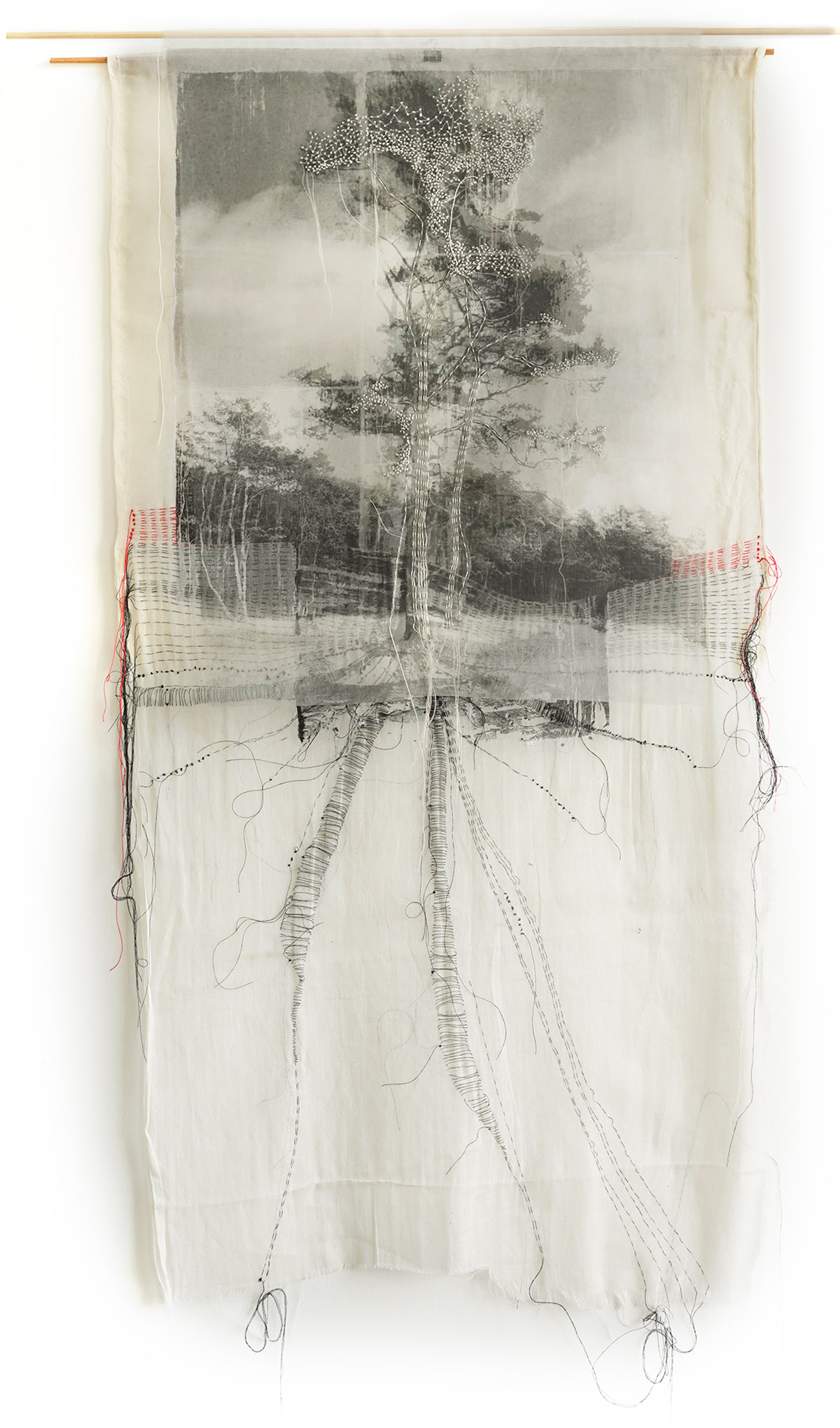 Jackie Mulder, Thought Trails