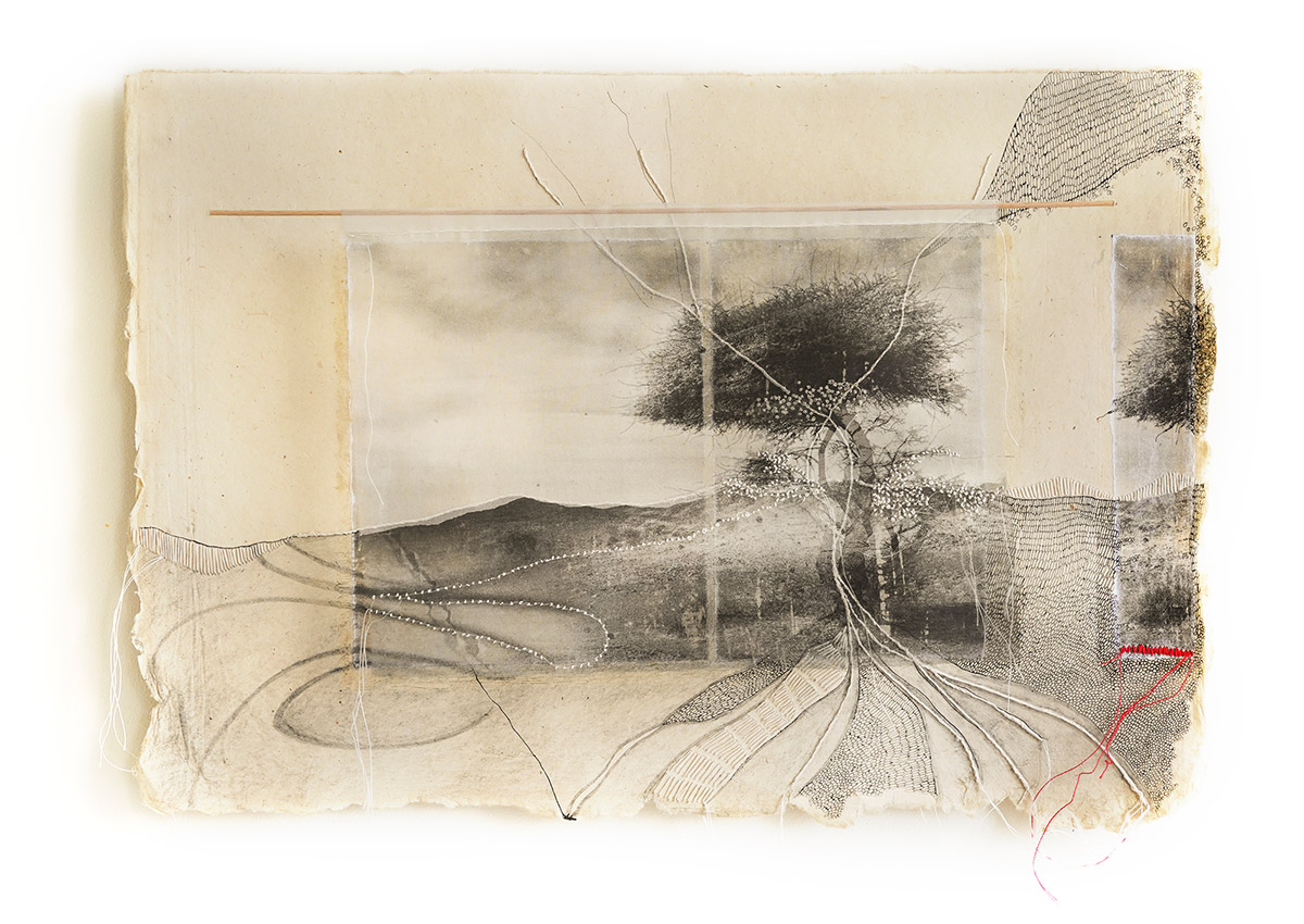 Jackie Mulder, Thought Trails