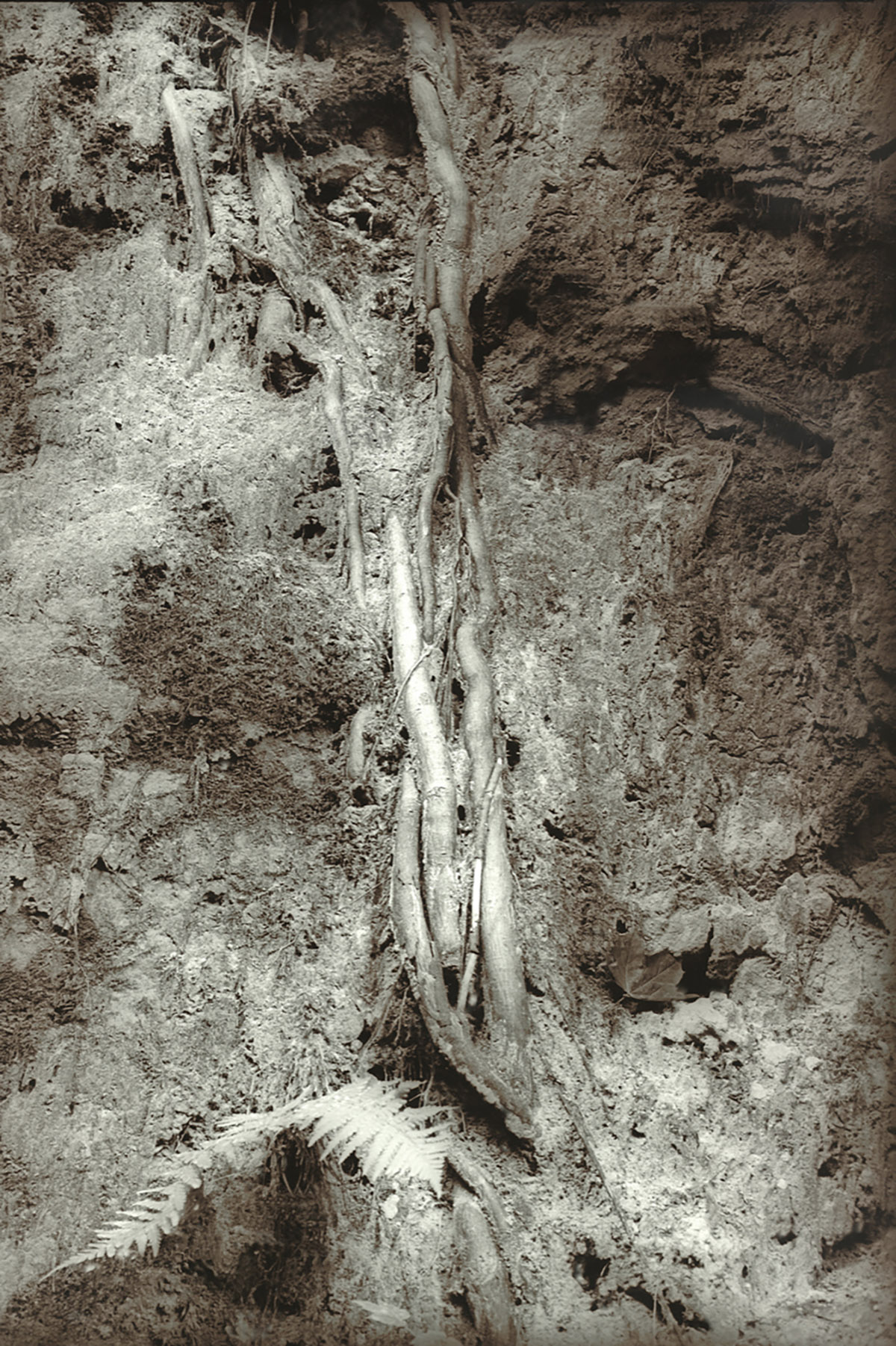 F68 is een collectief van autonome fotografen met een band met de regio.