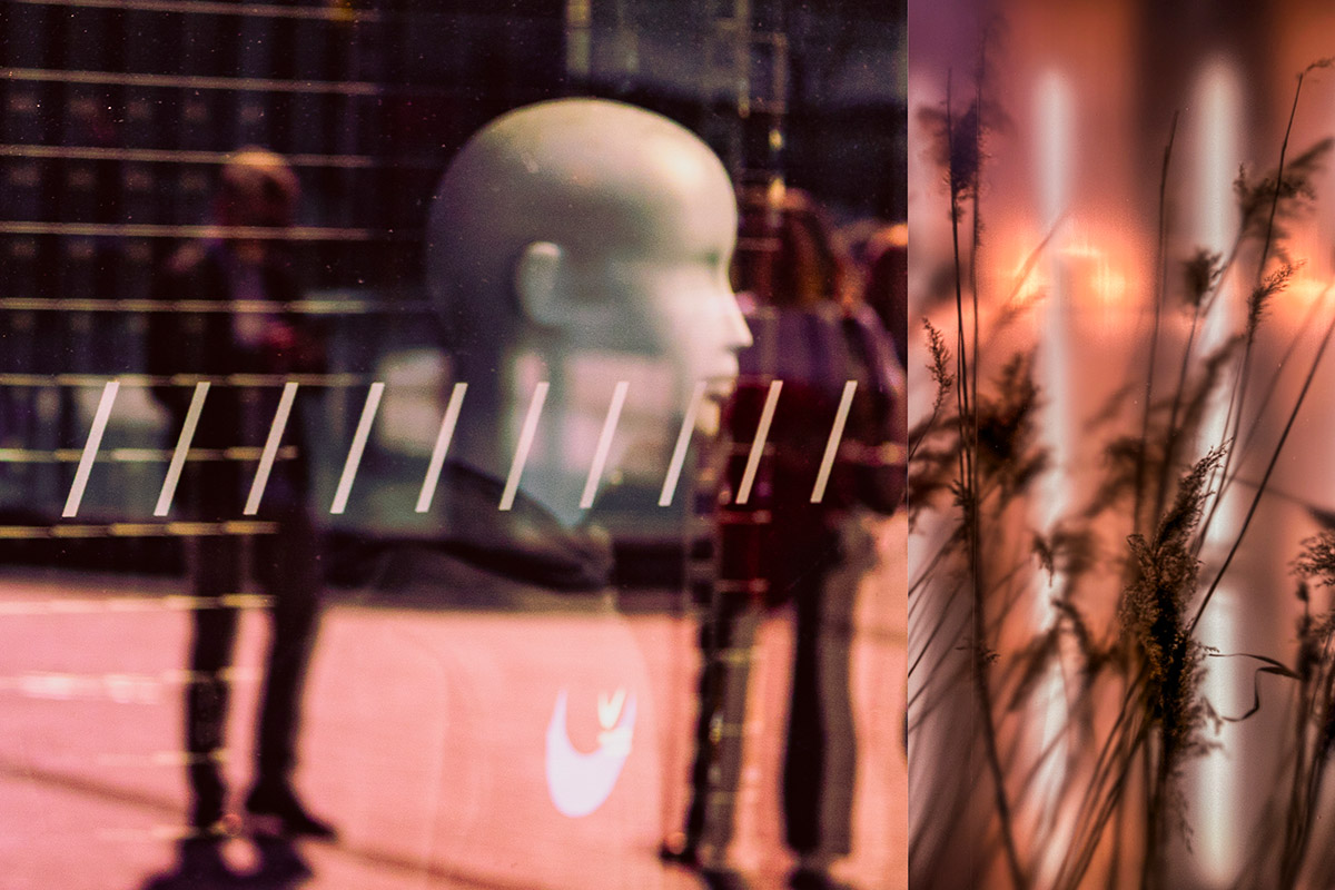 Trudi van Leuken, Caught by the eye, painted by the heart