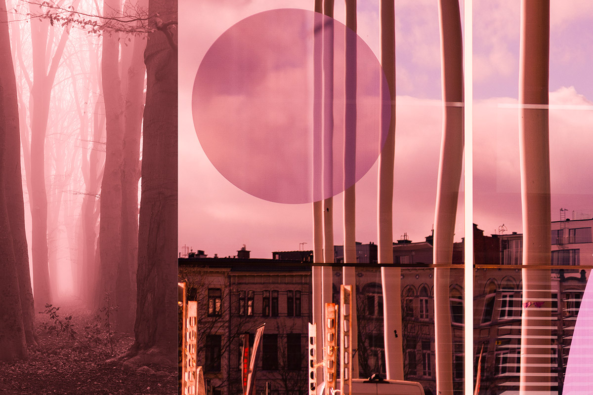 Trudi van Leuken, Caught by the eye, painted by the heart