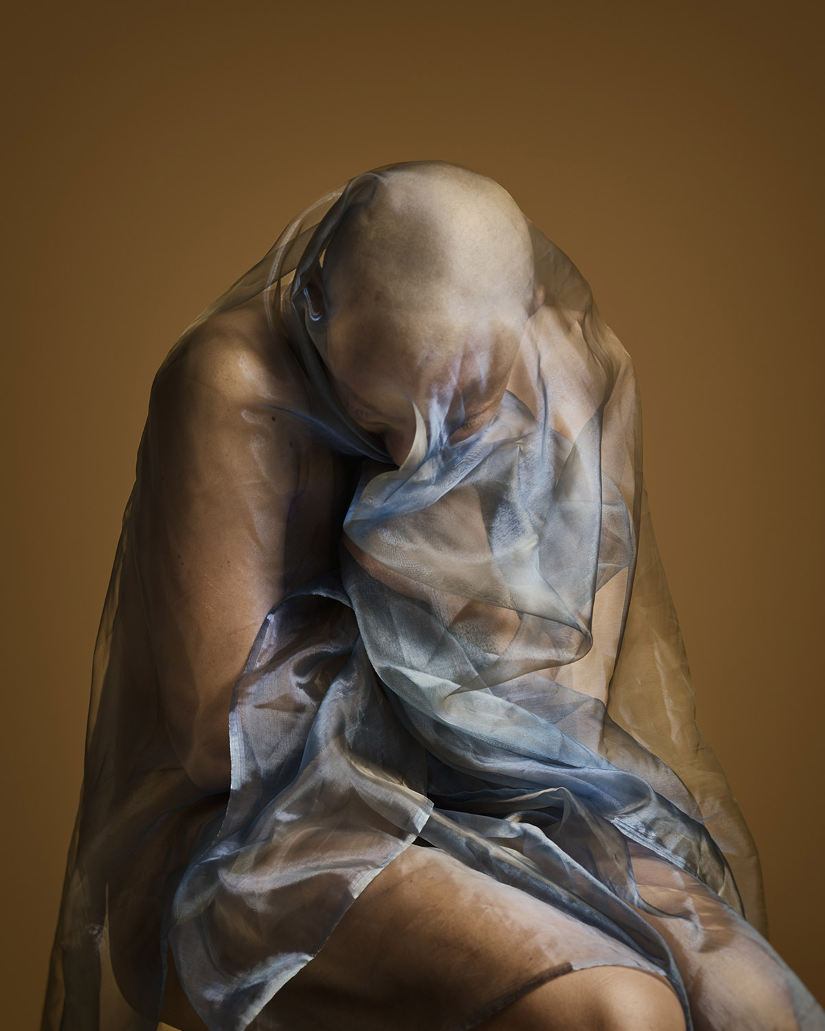 Richard Westerhuis, Through the Second Skin, Joyce