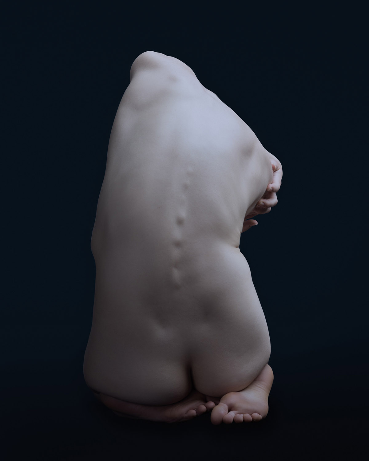 Richard Westerhuis, Powerfull Fragility, Anastasia