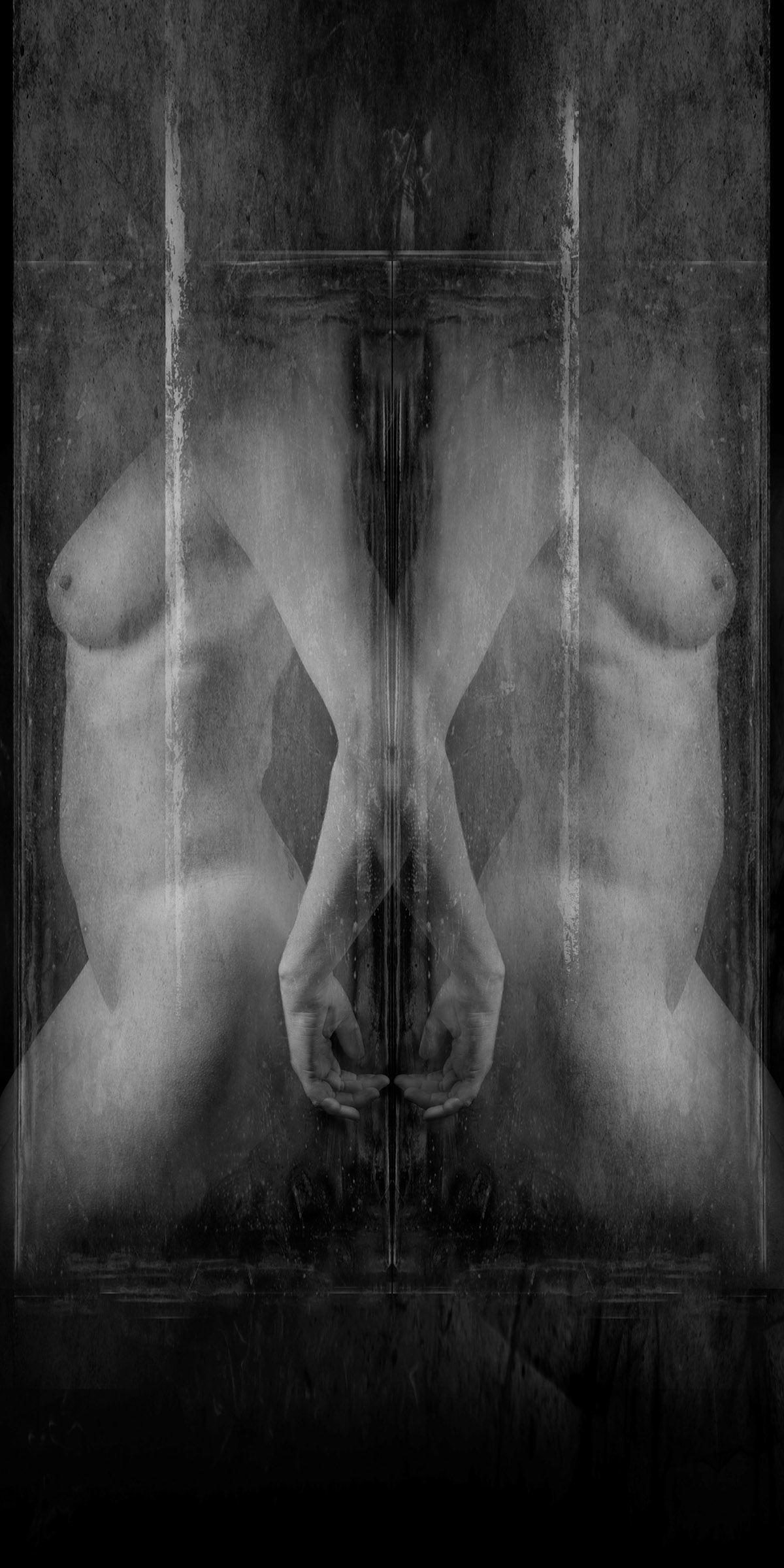 Jef Paepen, Equality