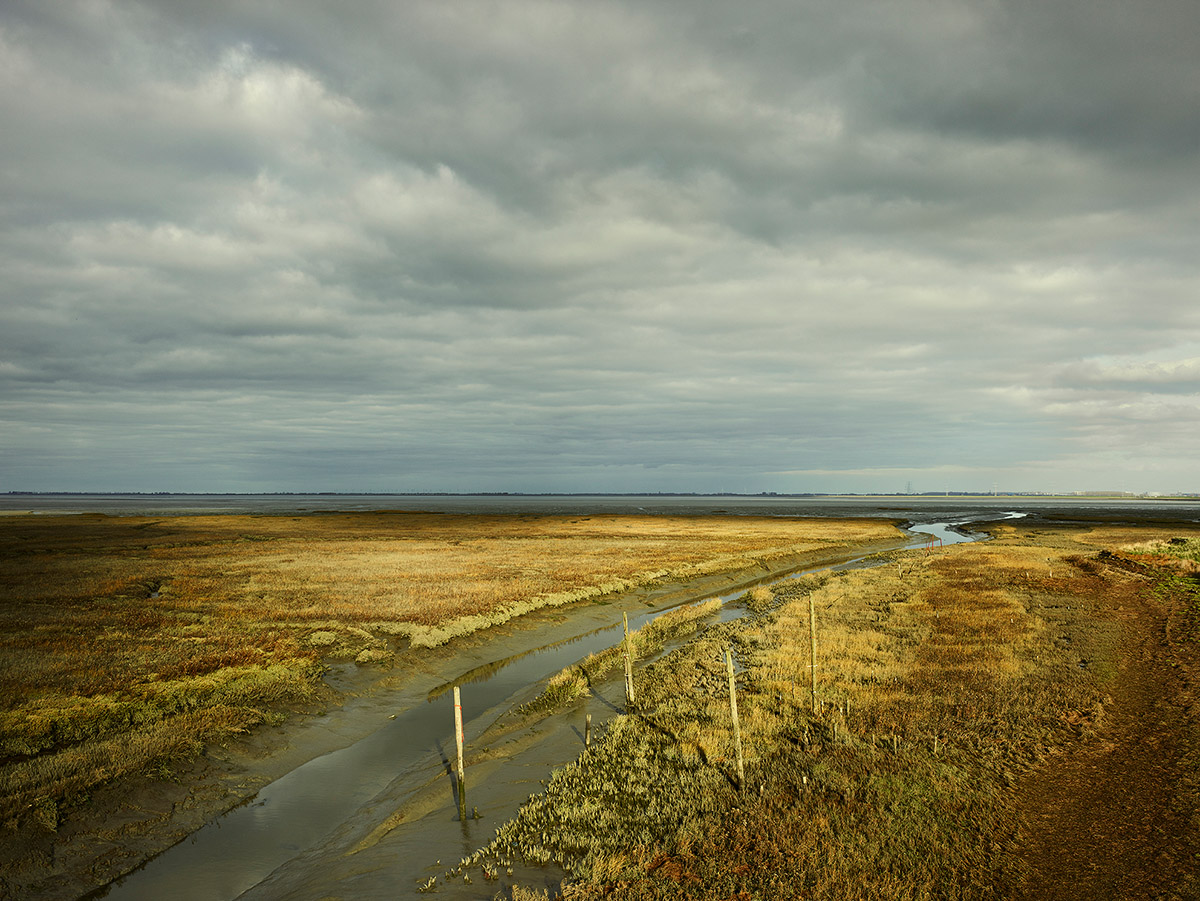 Jeroen Hofman, Rattenkaai, Zeeland, Winter, 2020