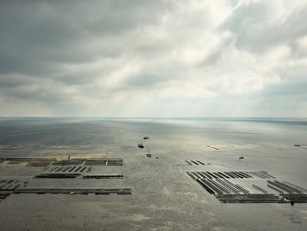 Jeroen Hofman, Saeftinghe, Oyster